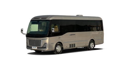 Hongqi Golden Sunflower 2024 — круговой обзор