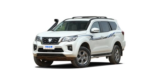 Dongfeng Fengdu Paladin 2026 — круговой обзор