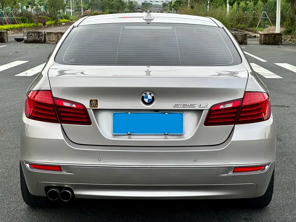 BMW 5 Series 2014 — фото 20