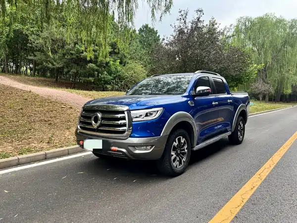 Great Wall Poer 2021