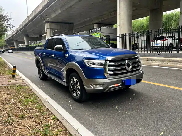 Great Wall Poer 2021