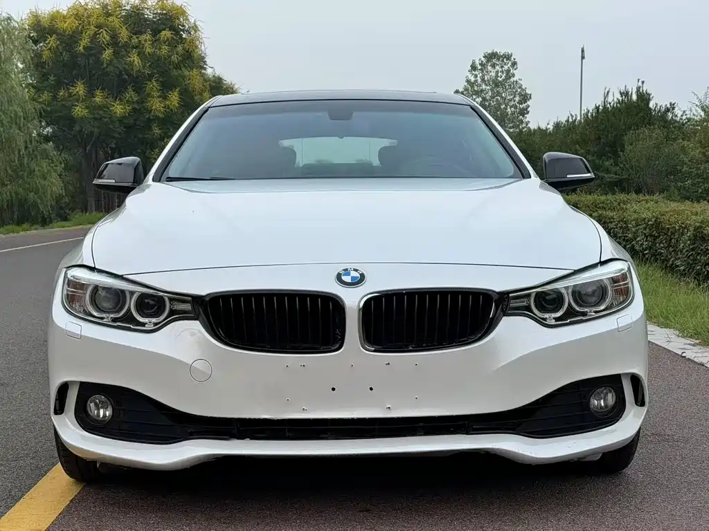 BMW 4 Series 2017 — фото 2