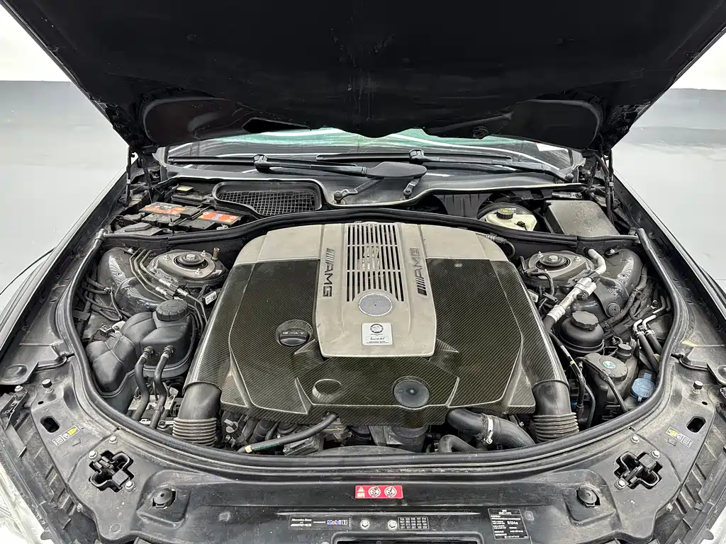 Mercedes-Benz S-Class AMG 2010 — фото 25