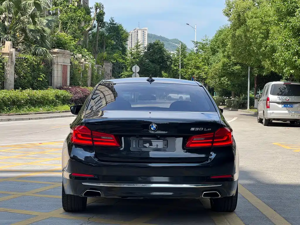 BMW 5 Series New Energy 2020