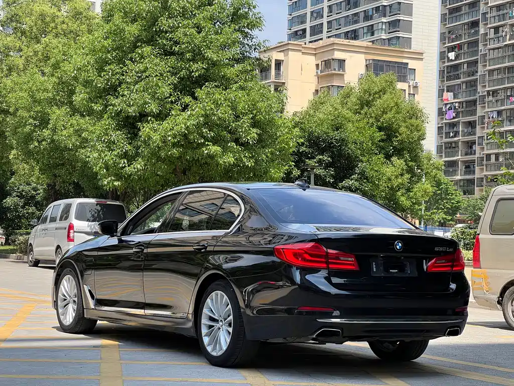 BMW 5 Series New Energy 2020