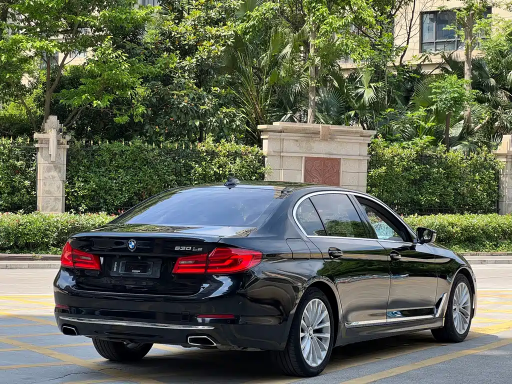 BMW 5 Series New Energy 2020