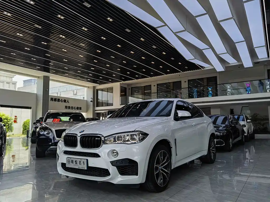 BMW X6 M 2019