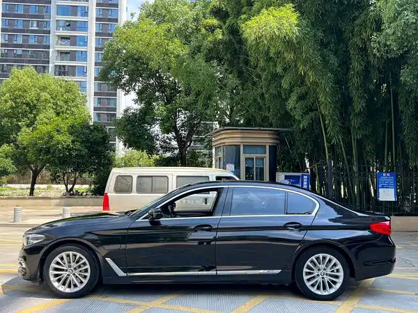 BMW 5 Series New Energy 2020