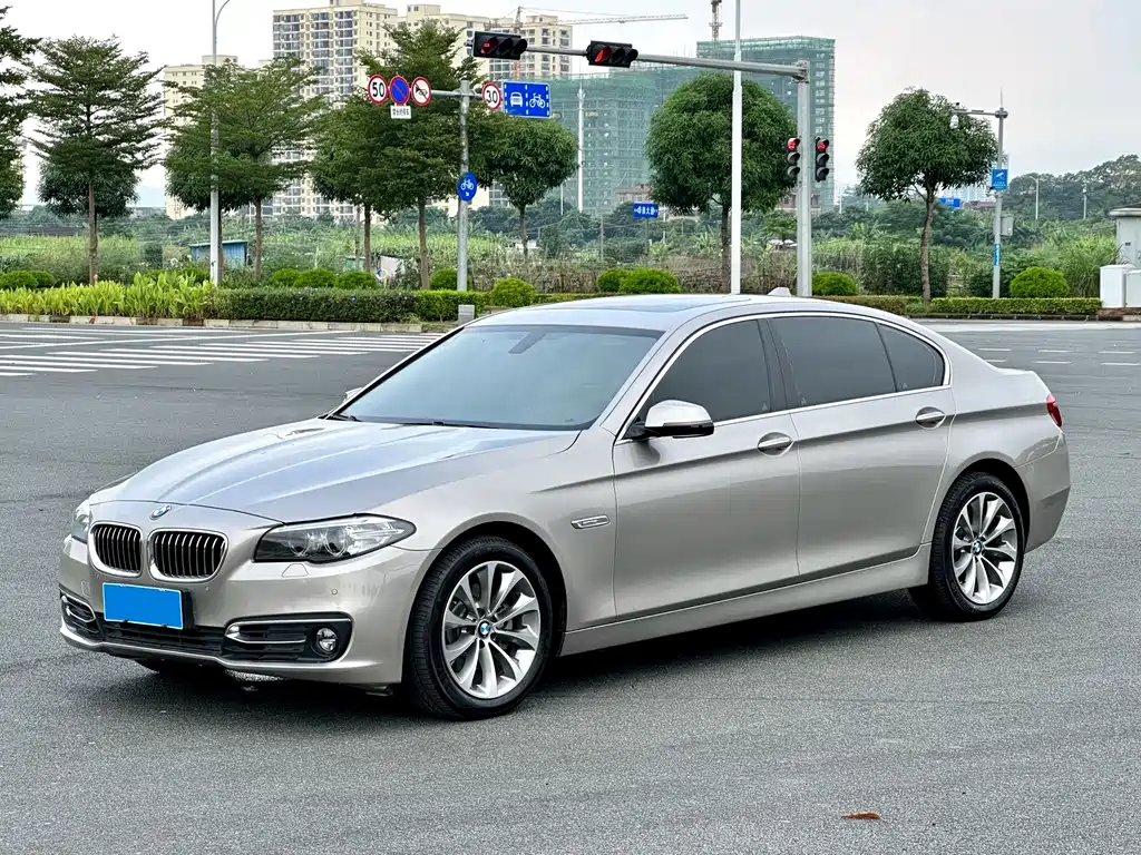 BMW 5 Series 2014