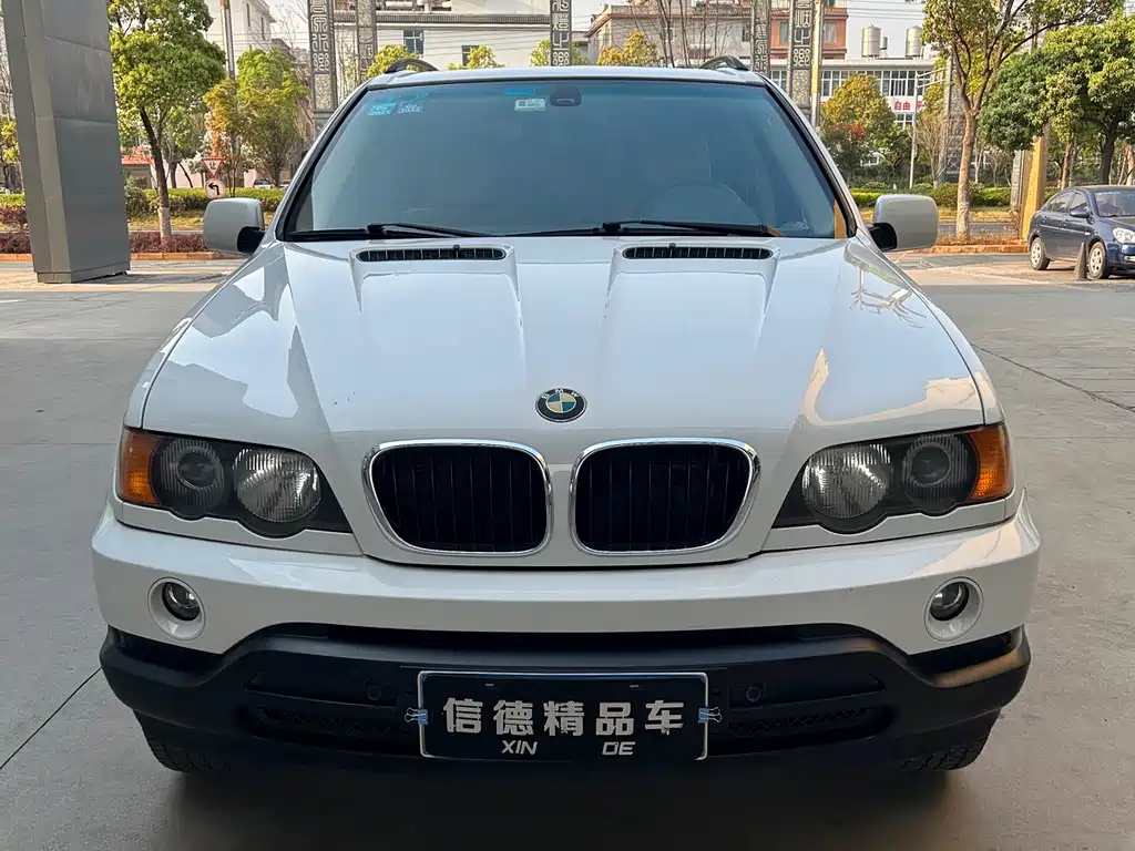 BMW X5 2004 — фото 1