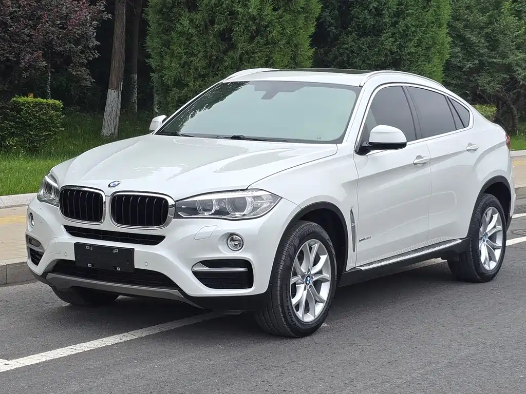 BMW X6 2015 — фото 18