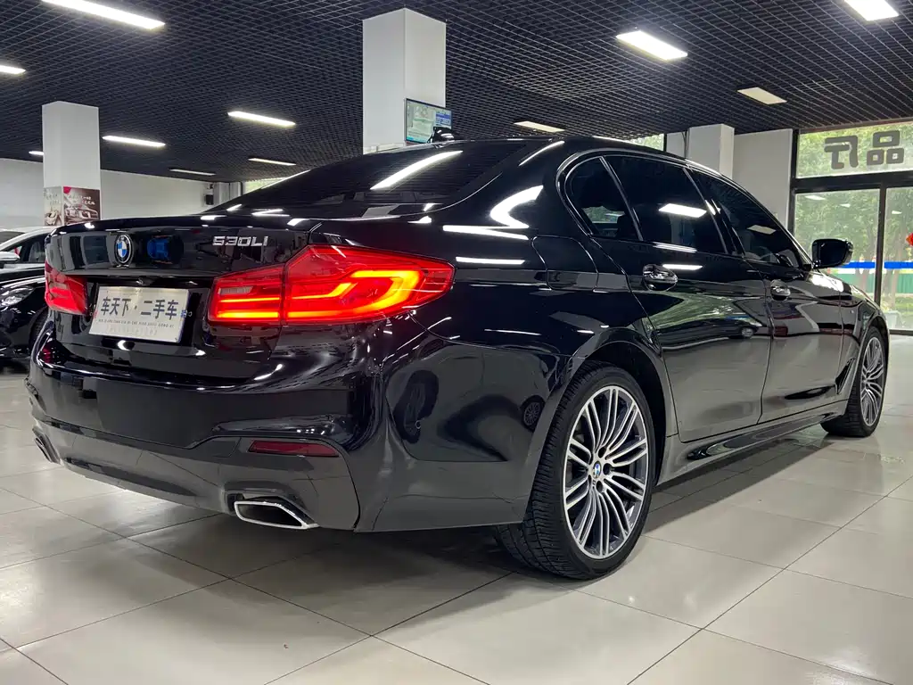 BMW 5 Series 2017 — фото 6