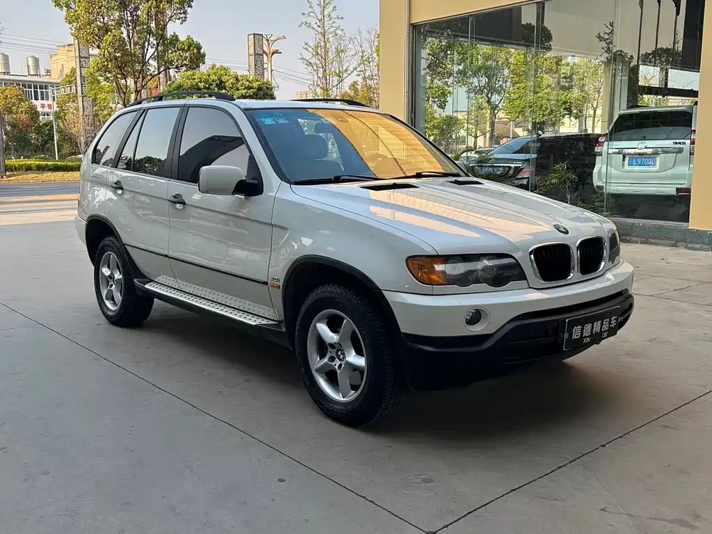 BMW X5 2004 — фото 2