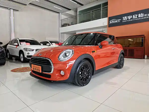 MINI MINI 2018