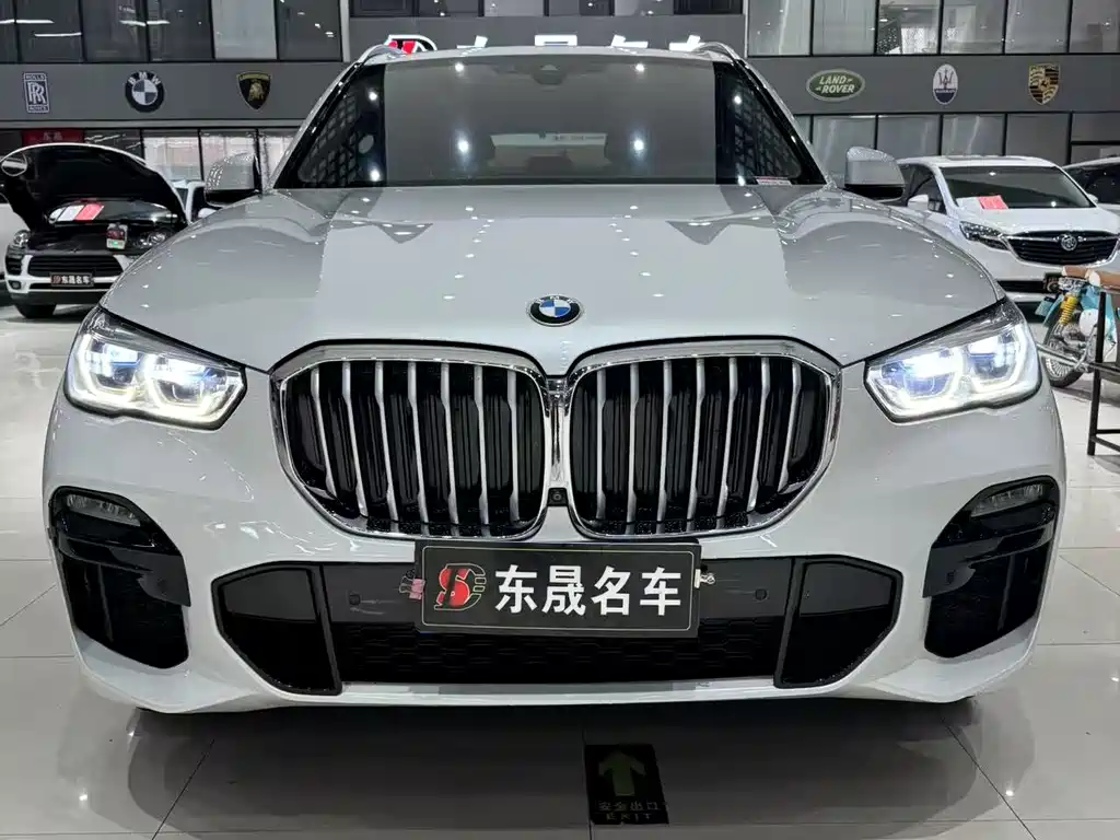 BMW X5 2019 — фото 2