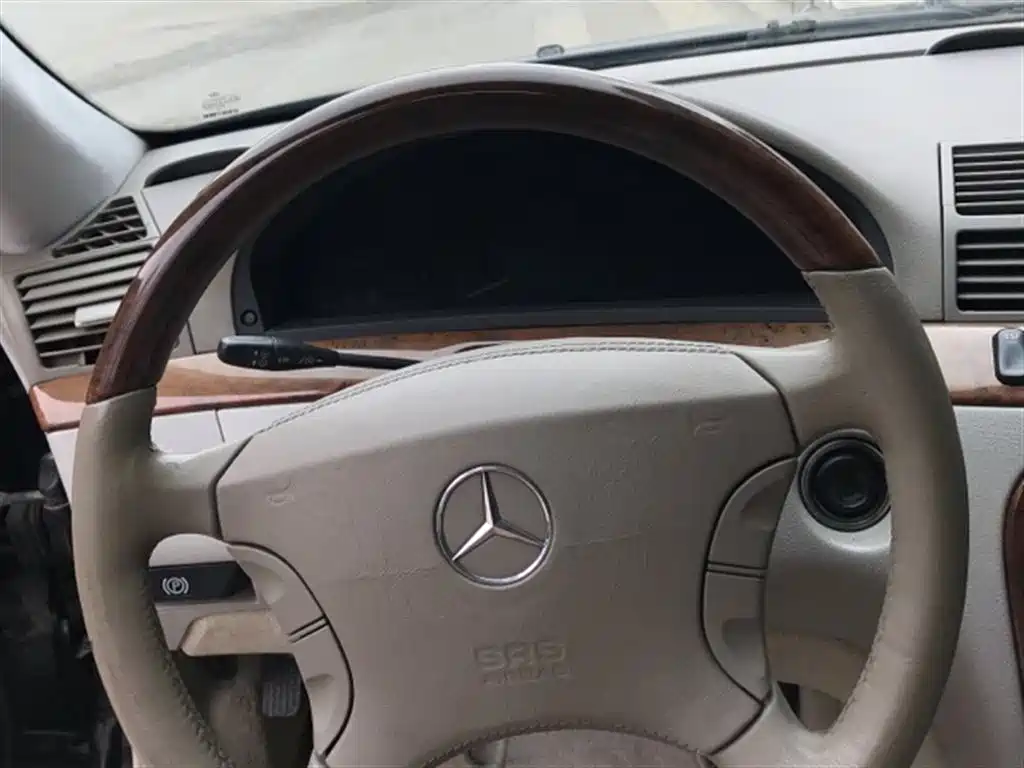 Mercedes-Benz S-Class 2003 — фото 12