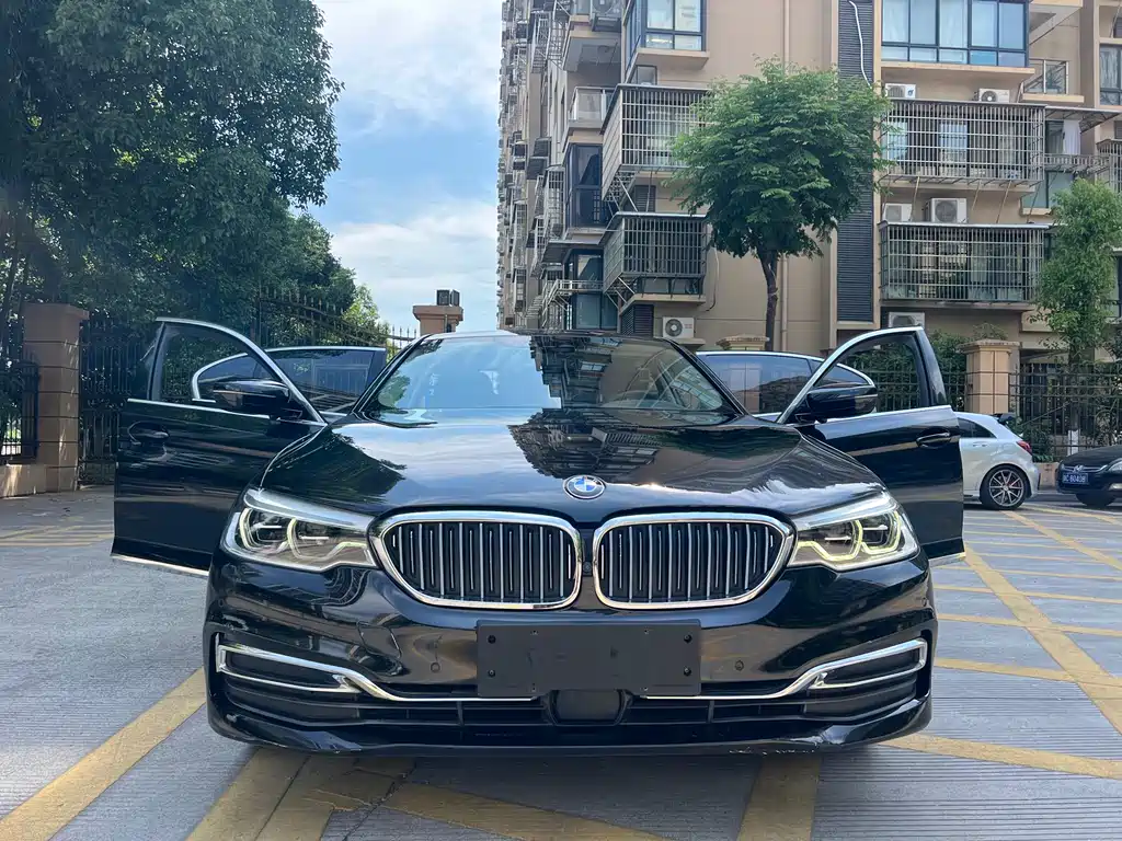 BMW 5 Series New Energy 2020 — фото 8