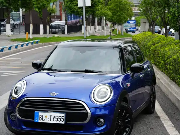 MINI MINI 2021
