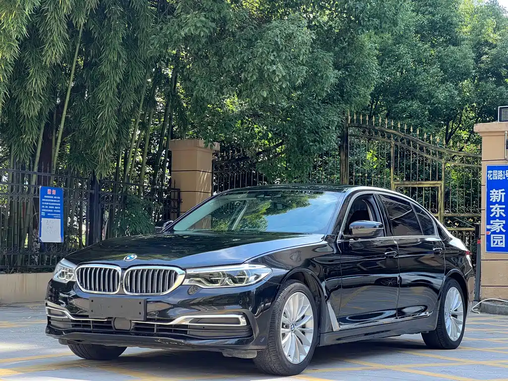 BMW 5 Series New Energy 2020