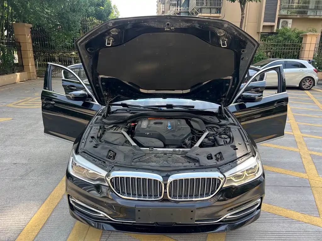 BMW 5 Series New Energy 2020 — фото 9