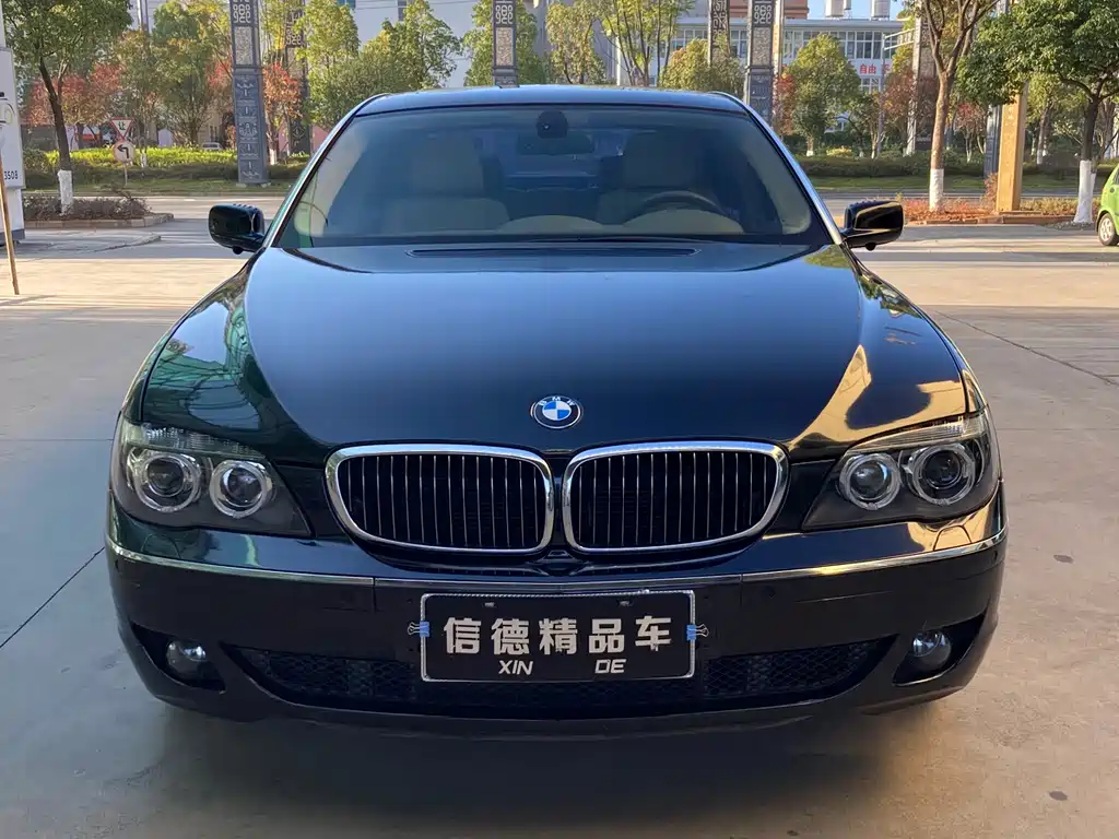 BMW 7 Series 2009 — фото 1