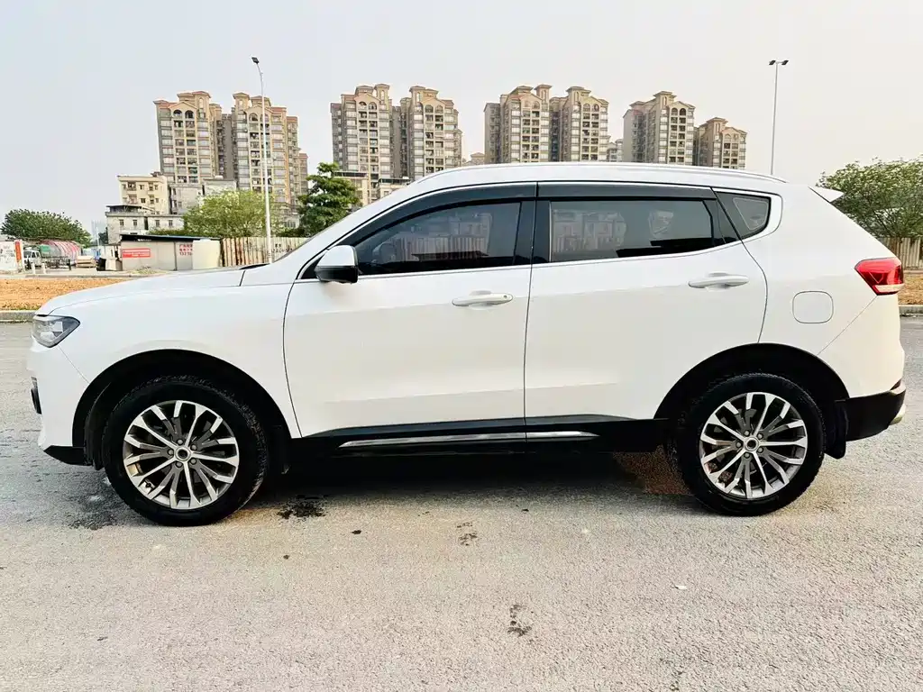 Haval H6 2019 — фото 5