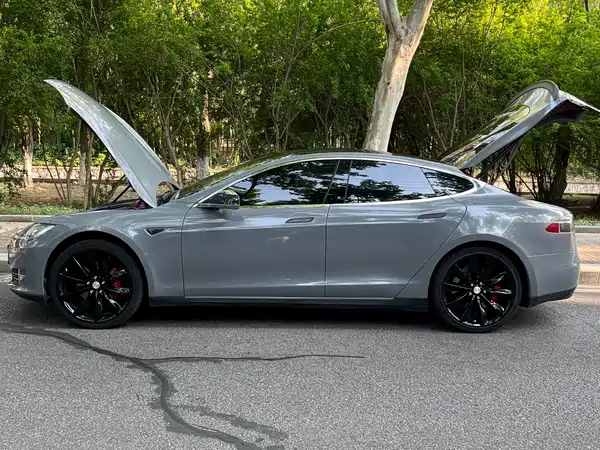 Tesla Model S 2014