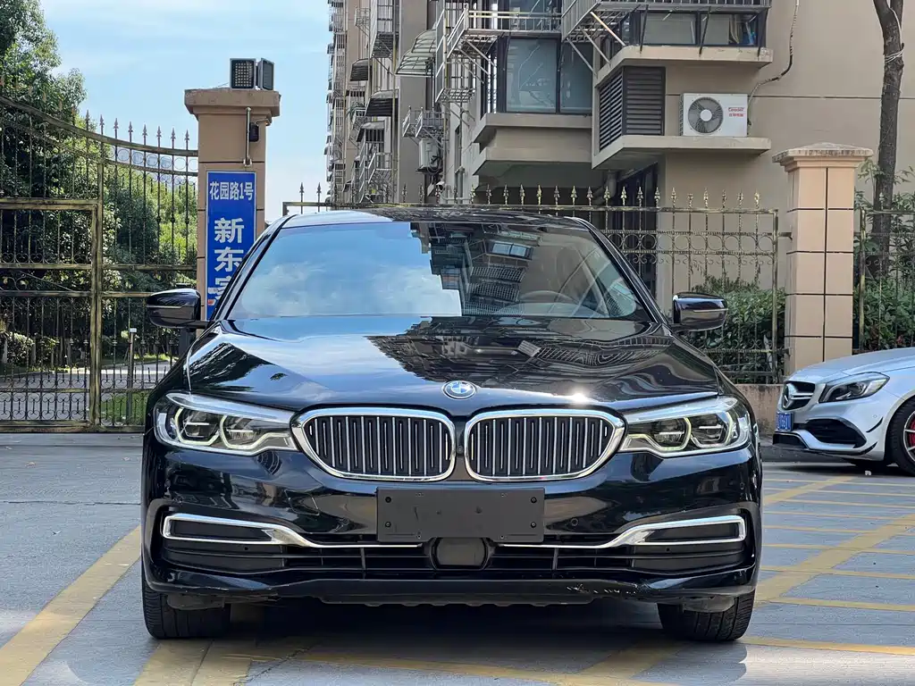 BMW 5 Series New Energy 2020