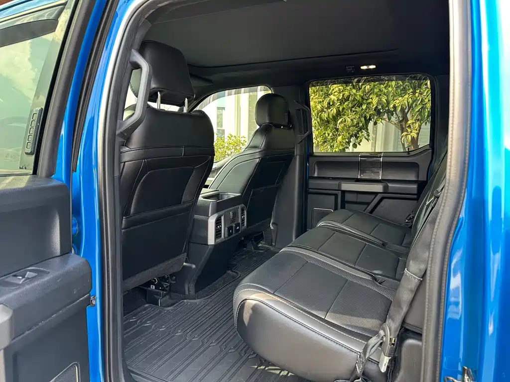 Ford F-150 Raptor 2020 — фото 8