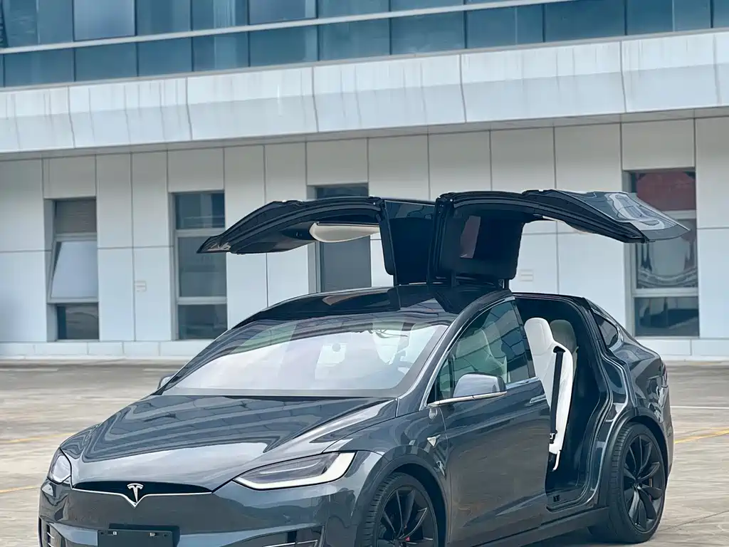 Tesla Model X 2017 — фото 1