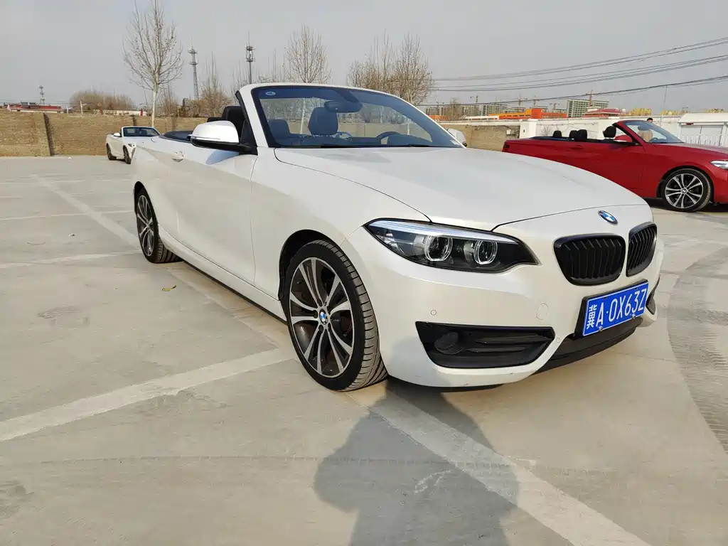 BMW 2 Series 2020 — фото 2