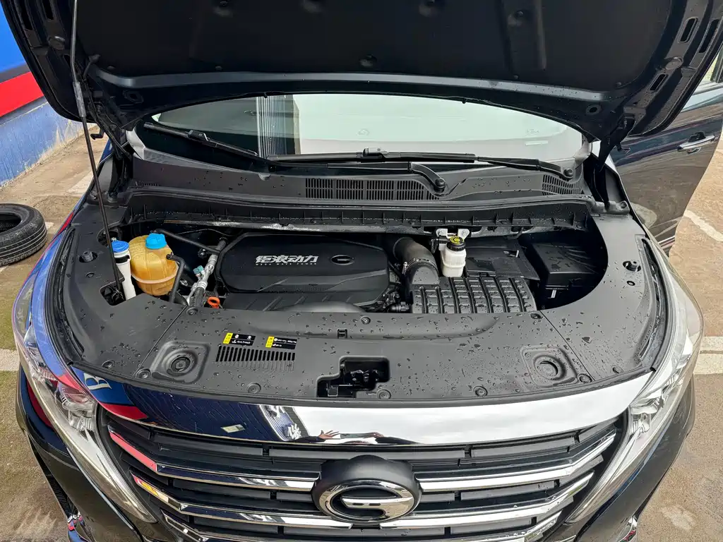 GAC Motor Trumpchi M8 2022 — фото 28