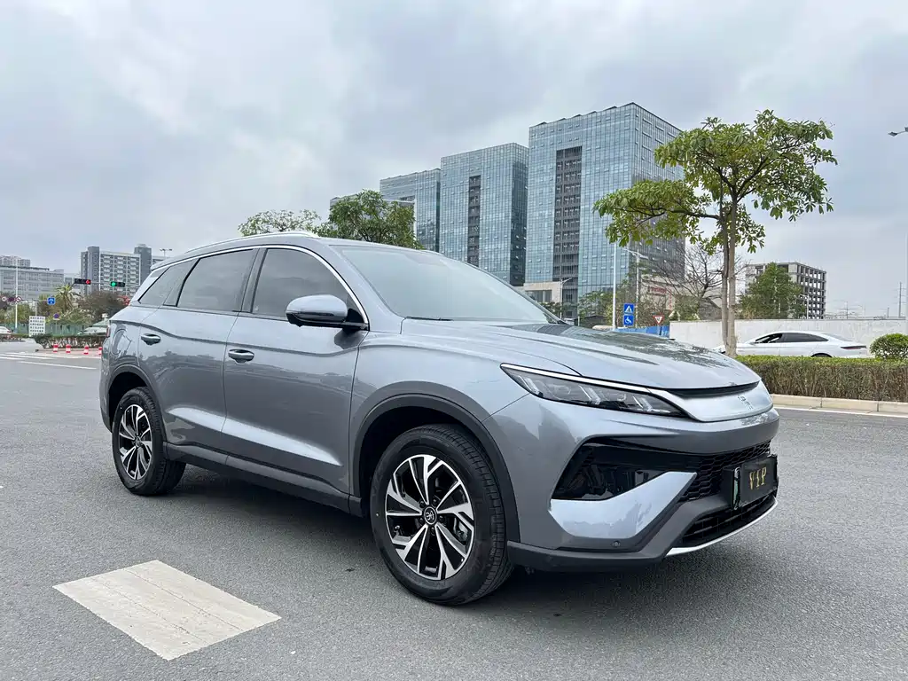 BYD Pro New Energy 2024 — фото 3