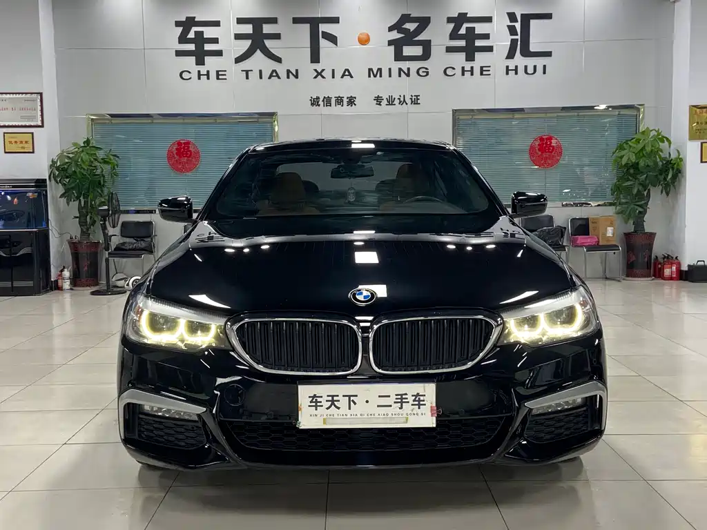 BMW 5 Series 2017 — фото 2