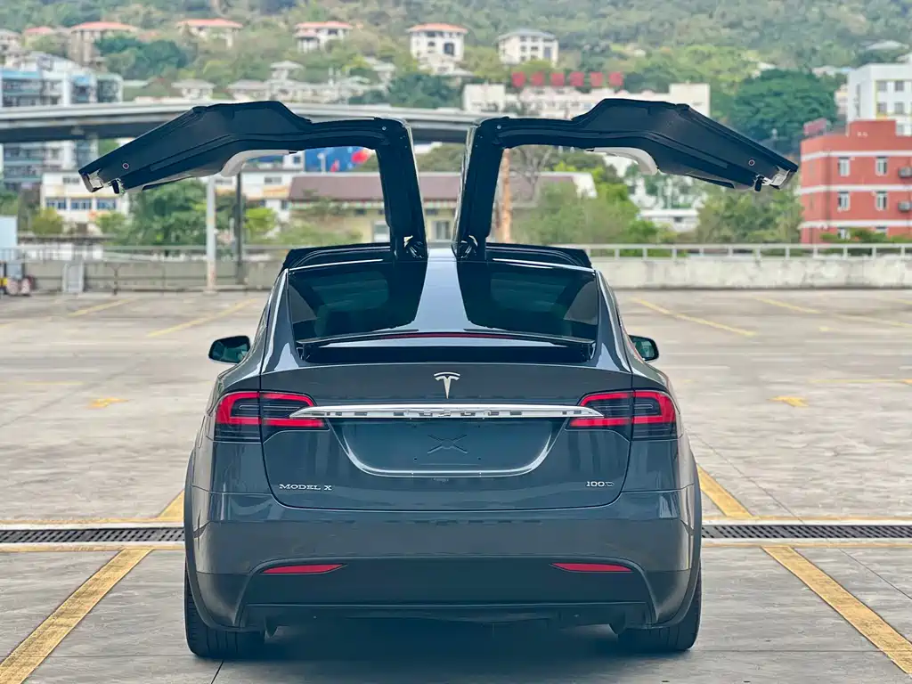 Tesla Model X 2017 — фото 5