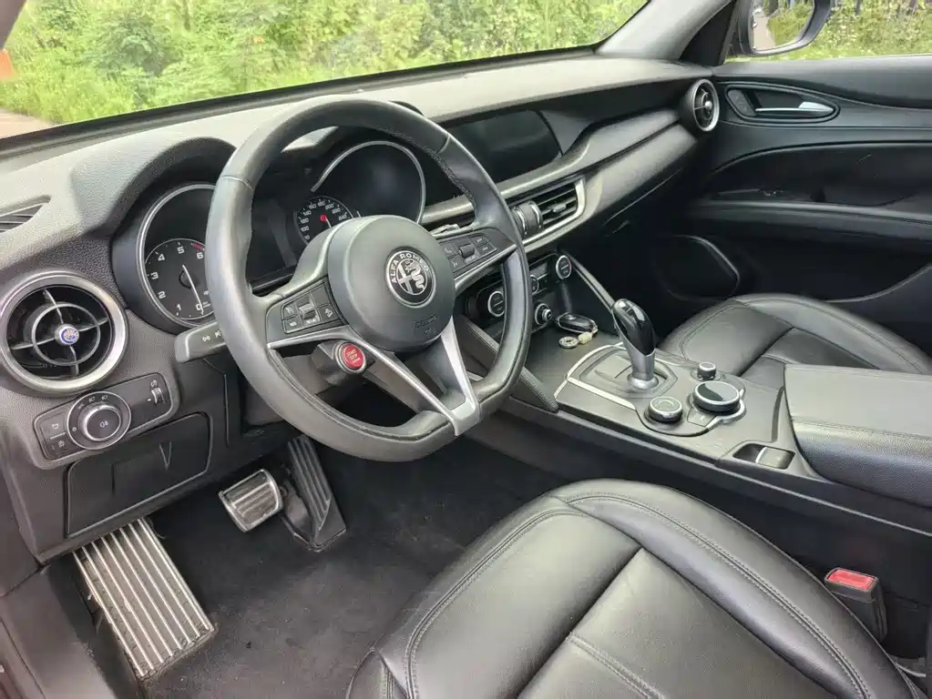 Alfa Romeo Stelvio 2019 — фото 6