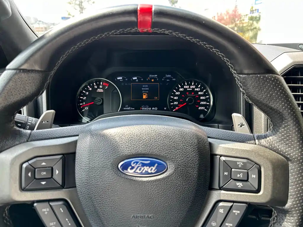 Ford F-150 Raptor 2020 — фото 6