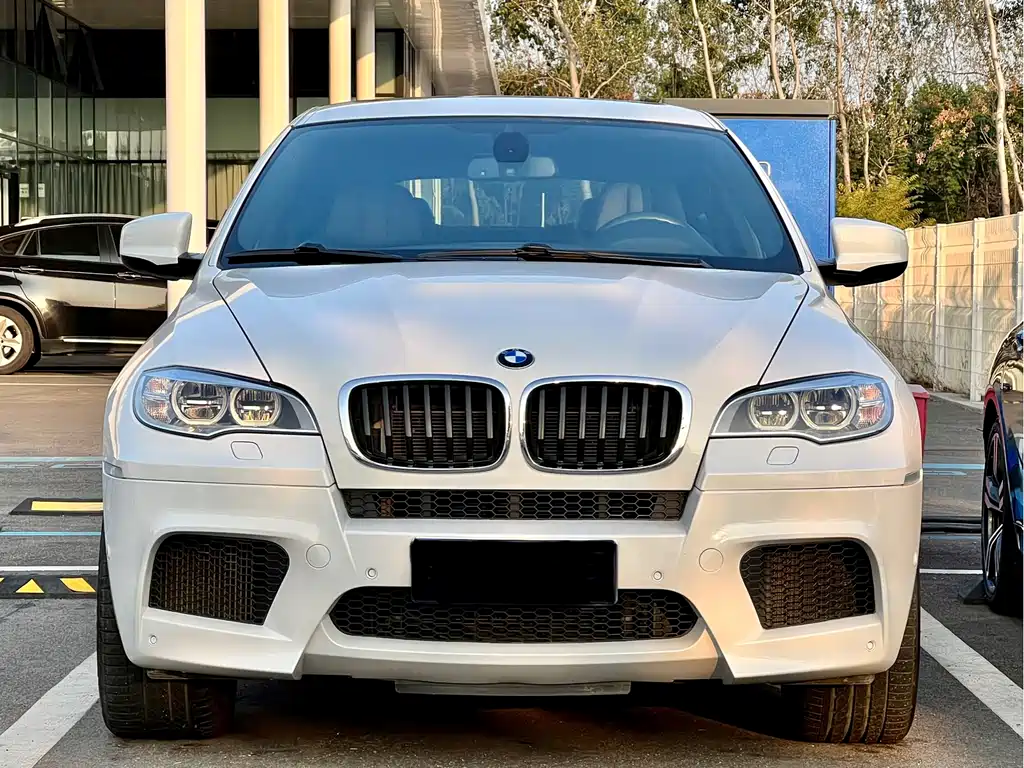 BMW X6 M 2013 — фото 29
