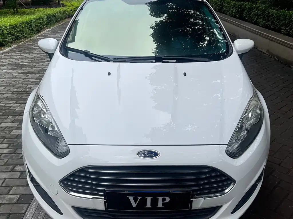 Ford Fiesta 2015 — фото 2