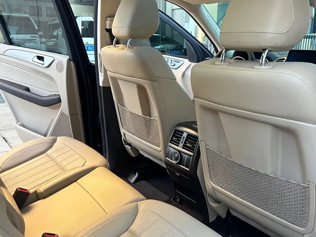 Mercedes-Benz GLS 2017 — фото 12