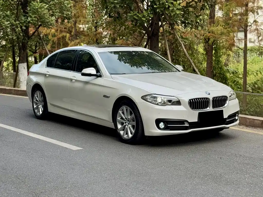 BMW 5 Series 2014 — фото 2