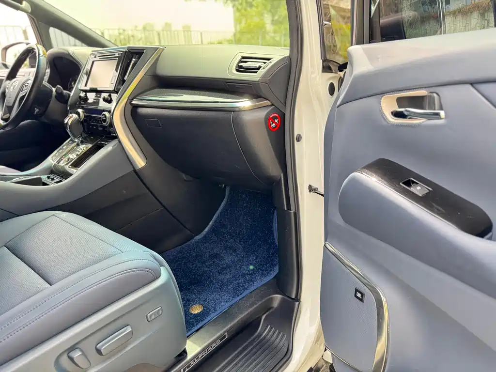 Toyota Alphard 2019 — фото 22