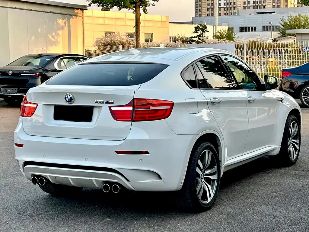BMW X6 M 2013 — фото 8