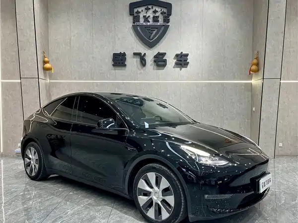 Tesla Model Y 2021