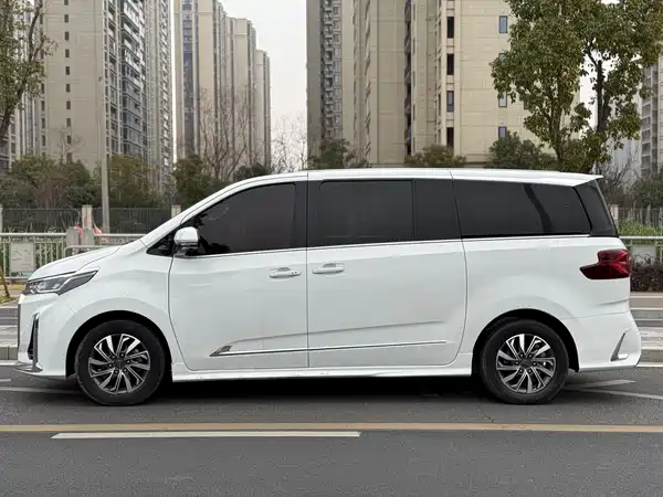 Maxus G20 2021