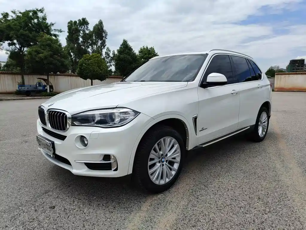 BMW X5 2017 — фото 1