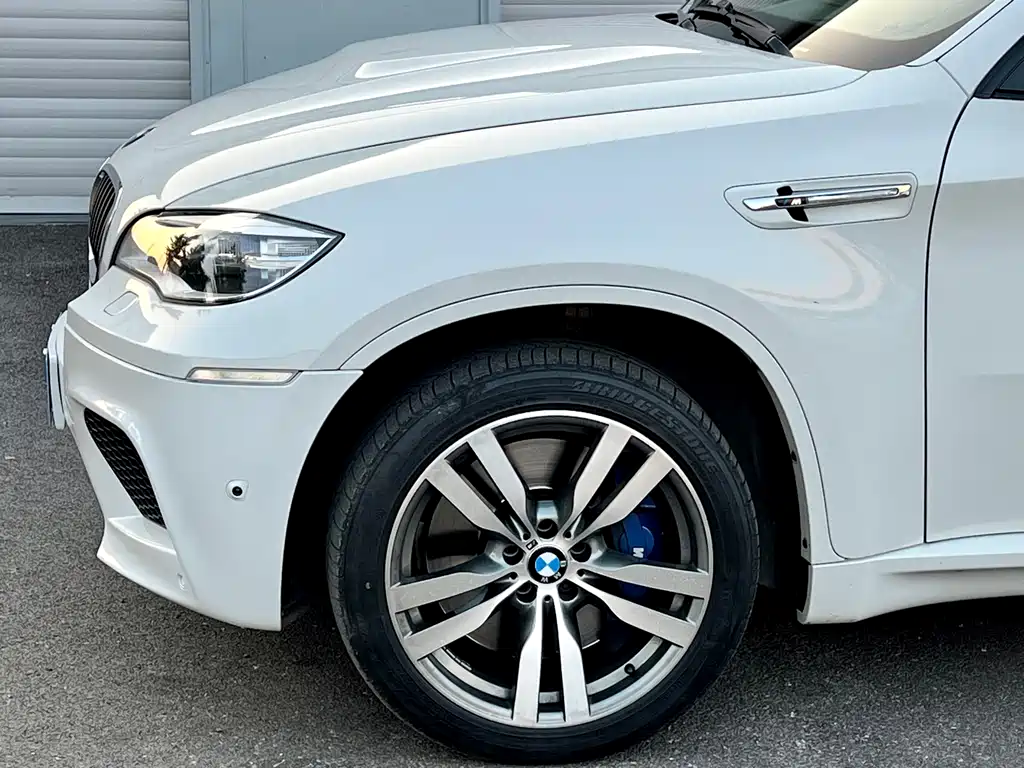 BMW X6 M 2013 — фото 10