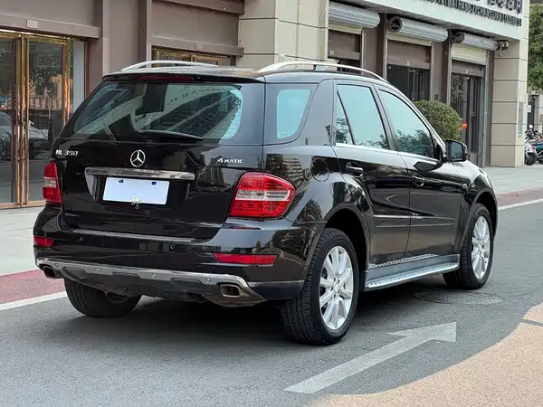 Mercedes-Benz M-Class 2010