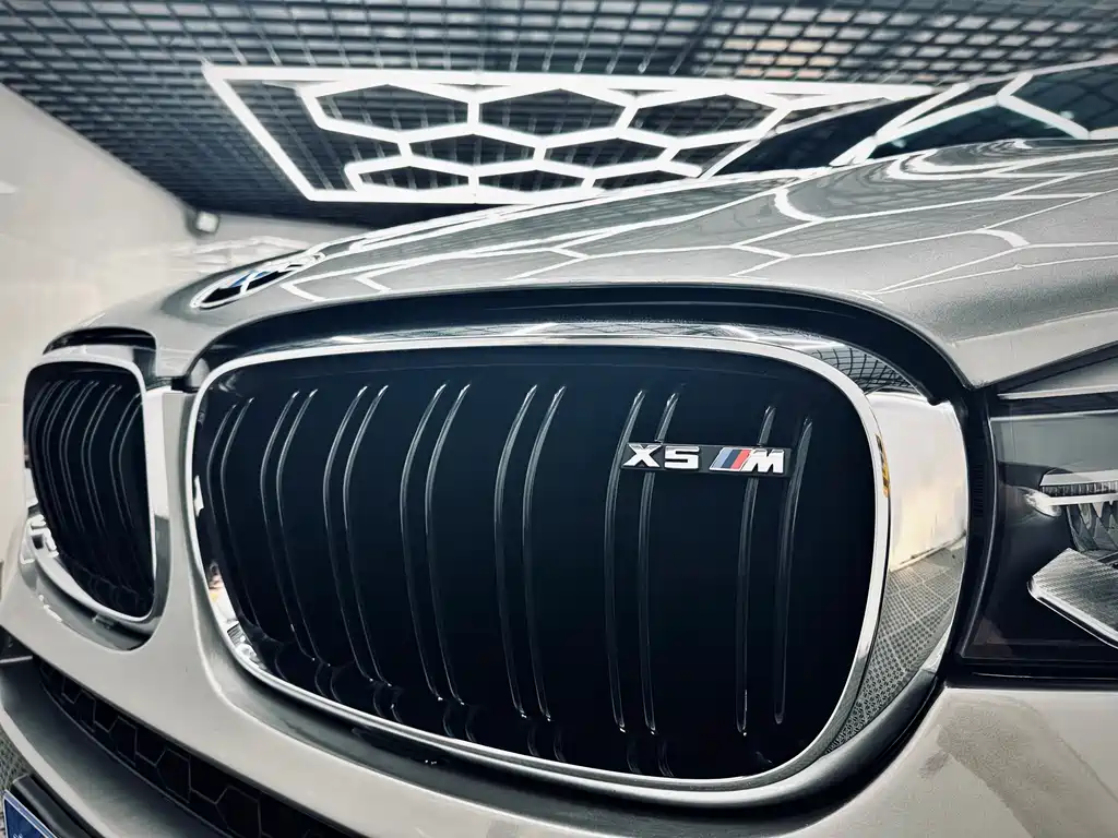 BMW X5 M 2015 — фото 30