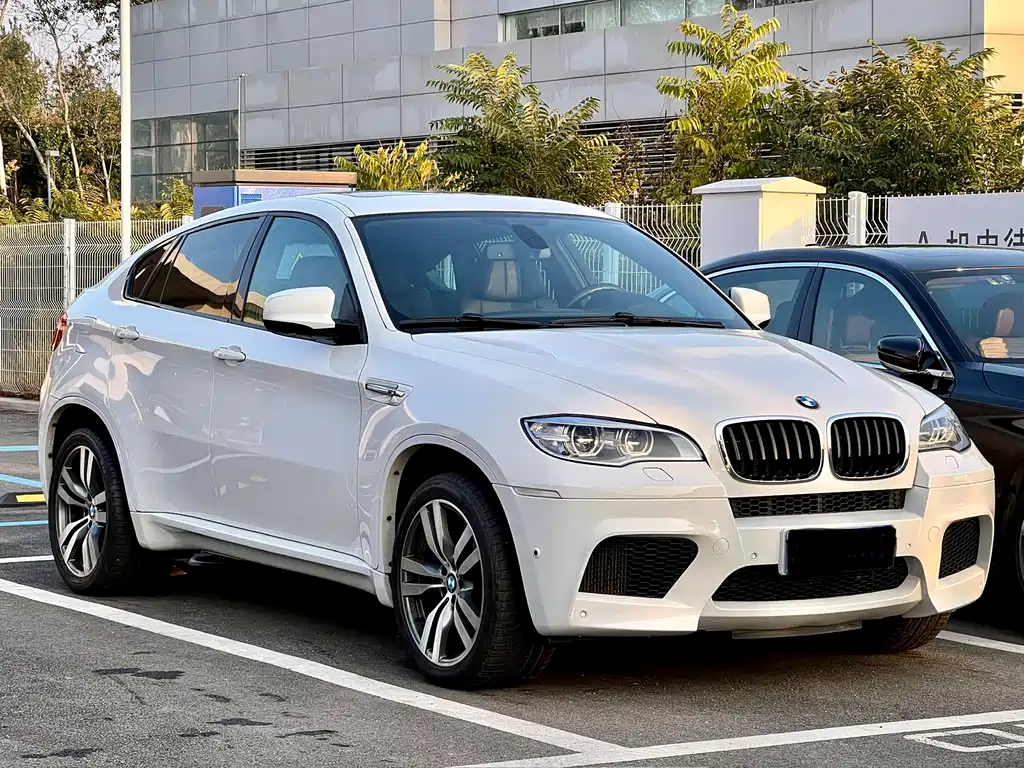 BMW X6 M 2013 — фото 12